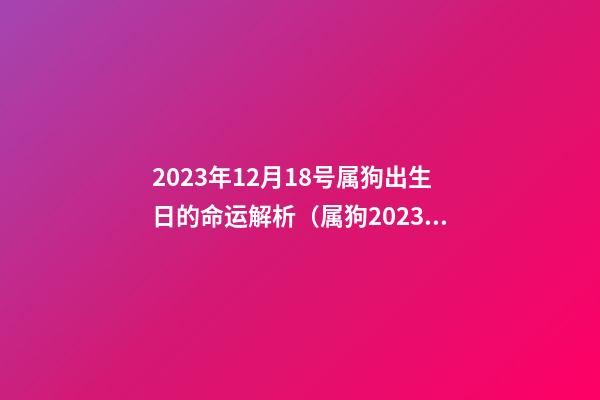 2023年12月18号属狗出生日的命运解析（属狗2023年12月18日出生性格）