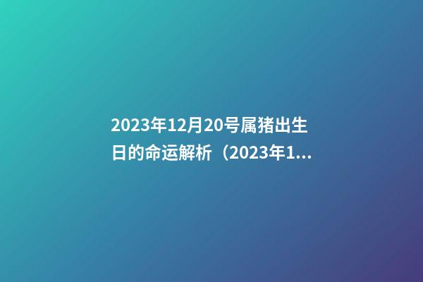 2023年12月20号属猪出生日的命运解析（2023年12月20号属猪出生日的命运解析图）