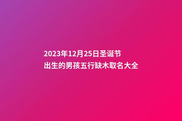 2023年12月25日圣诞节出生的男孩五行缺木取名大全