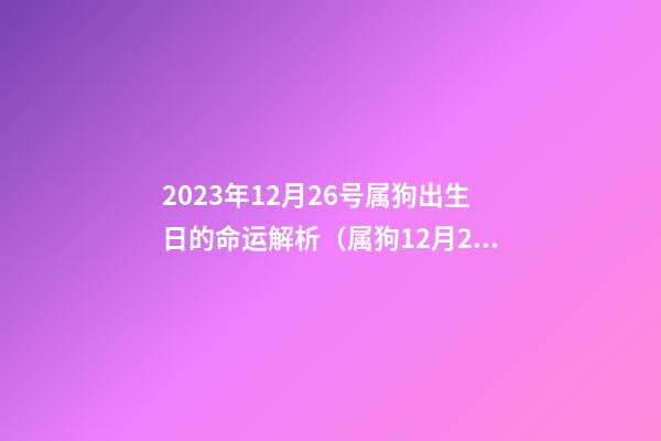 2023年12月26号属狗出生日的命运解析（属狗12月28日生的人）