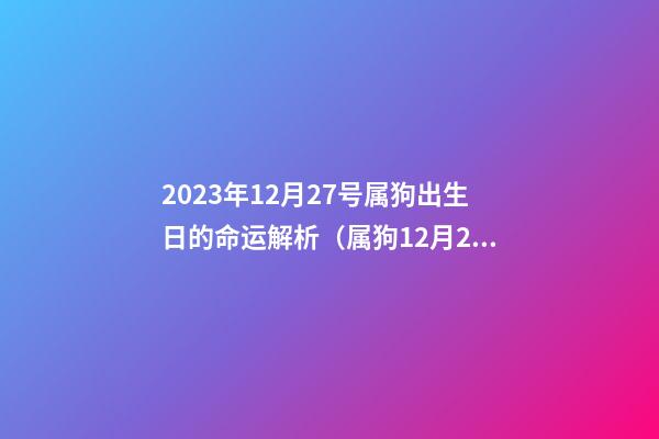 2023年12月27号属狗出生日的命运解析（属狗12月28日生的人）