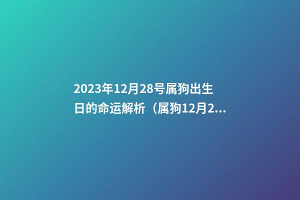 2023年12月28号属狗出生日的命运解析（属狗12月28日生的人）
