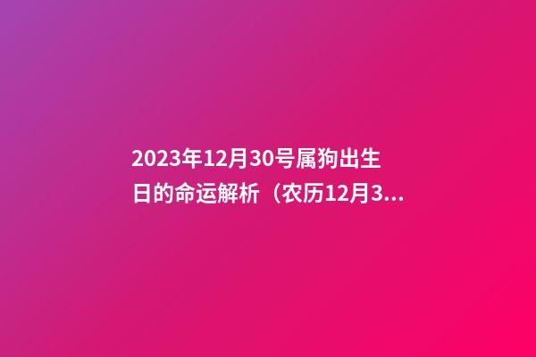 2023年12月30号属狗出生日的命运解析（农历12月30日出生）