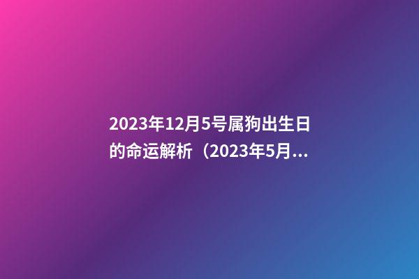 2023年12月5号属狗出生日的命运解析（2023年5月15日出生属狗性格）