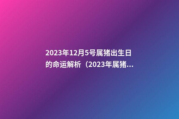 2023年12月5号属猪出生日的命运解析（2023年属猪5月出生命运如何）