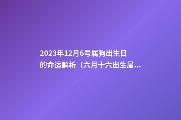 2023年12月6号属狗出生日的命运解析（六月十六出生属狗命运）