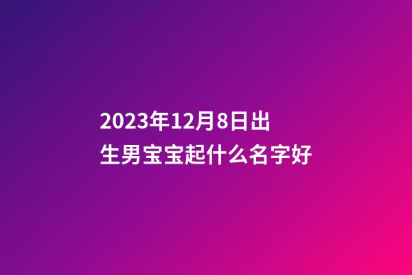 2023年12月8日出生男宝宝起什么名字好