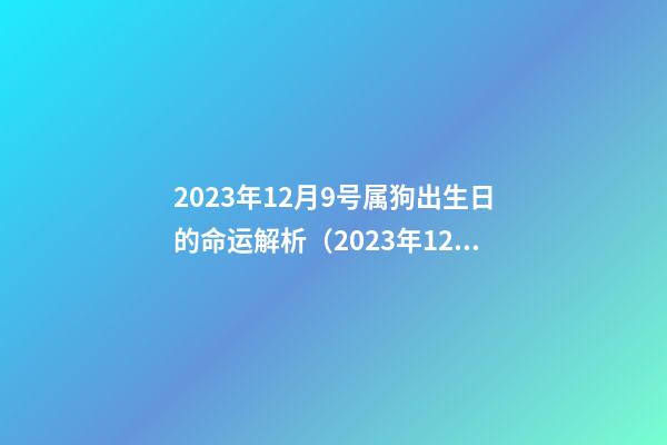 2023年12月9号属狗出生日的命运解析（2023年12月9号属狗出生日的命运解析图）