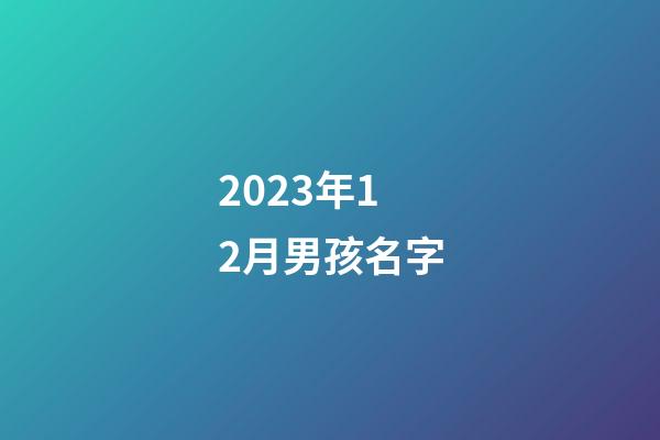 2023年12月男孩名字