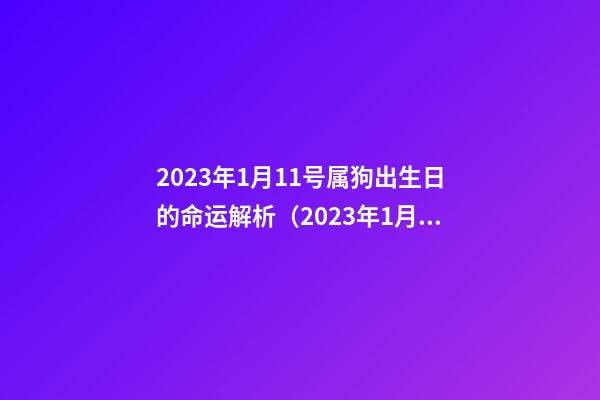 2023年1月11号属狗出生日的命运解析（2023年1月11号属狗出生日的命运解析图）