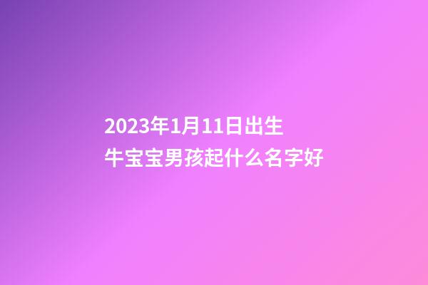 2023年1月11日出生牛宝宝男孩起什么名字好