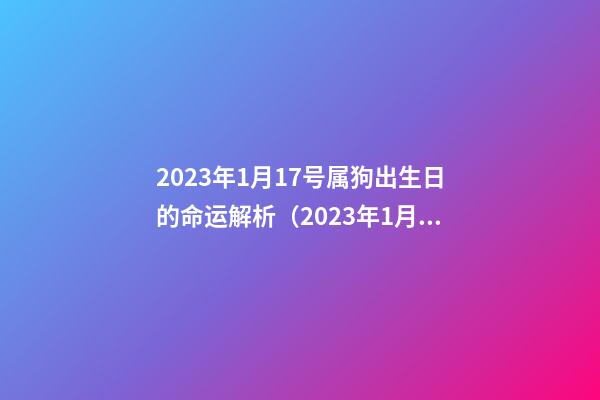 2023年1月17号属狗出生日的命运解析（2023年1月17号属狗出生日的命运解析图）