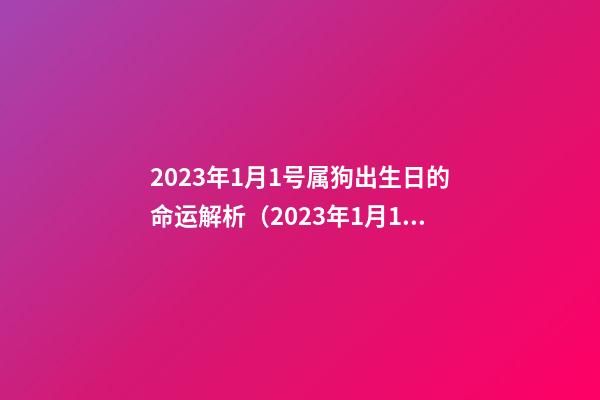 2023年1月1号属狗出生日的命运解析（2023年1月1号属狗出生日的命运解析图）