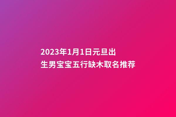 2023年1月1日元旦出生男宝宝五行缺木取名推荐