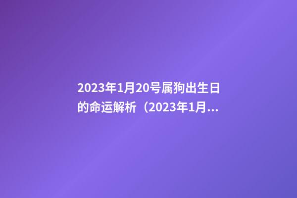 2023年1月20号属狗出生日的命运解析（2023年1月20日出生属什么）