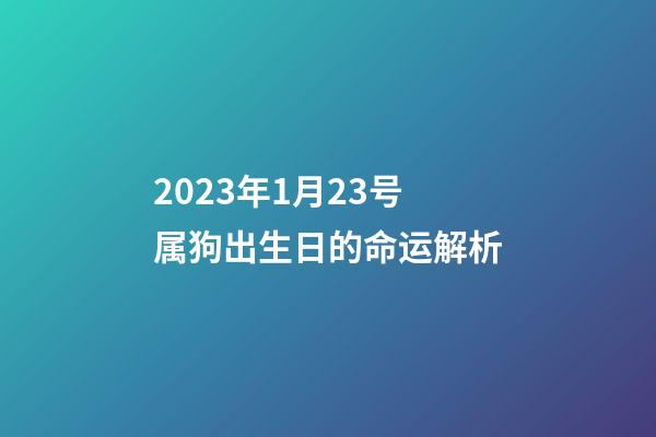 2023年1月23号属狗出生日的命运解析