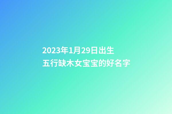 2023年1月29日出生五行缺木女宝宝的好名字