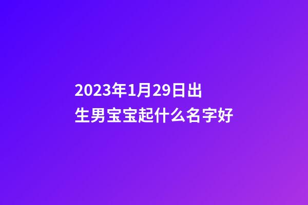 2023年1月29日出生男宝宝起什么名字好