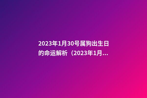 2023年1月30号属狗出生日的命运解析（2023年1月30日出生是什么命）