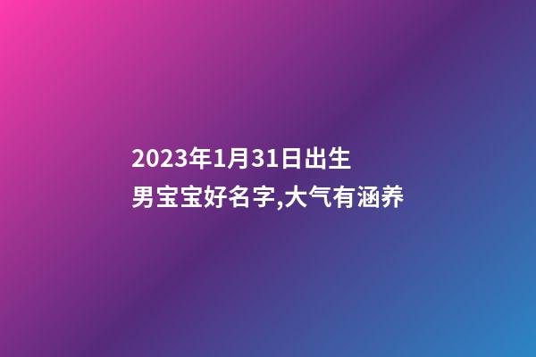 2023年1月31日出生男宝宝好名字,大气有涵养