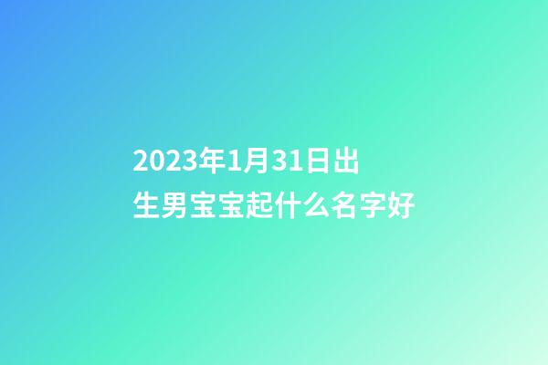 2023年1月31日出生男宝宝起什么名字好