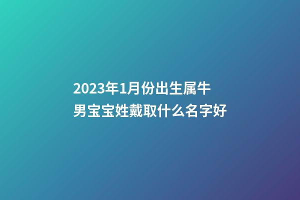 2023年1月份出生属牛男宝宝姓戴取什么名字好