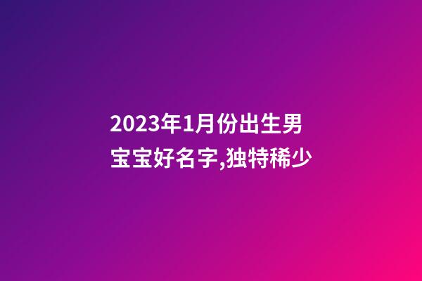 2023年1月份出生男宝宝好名字,独特稀少