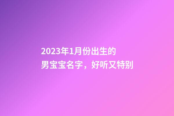2023年1月份出生的男宝宝名字，好听又特别