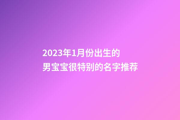 2023年1月份出生的男宝宝很特别的名字推荐