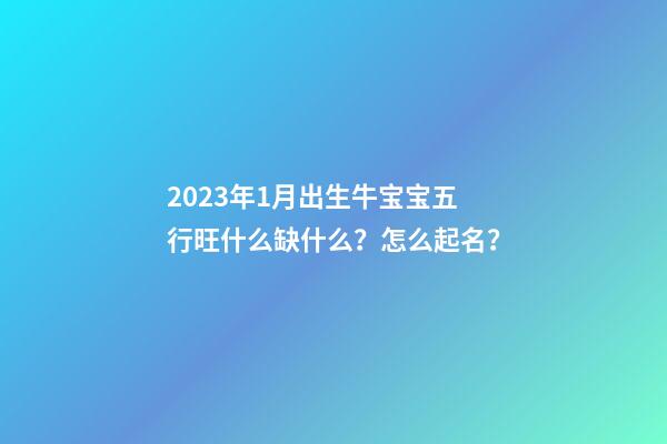 2023年1月出生牛宝宝五行旺什么缺什么？怎么起名？