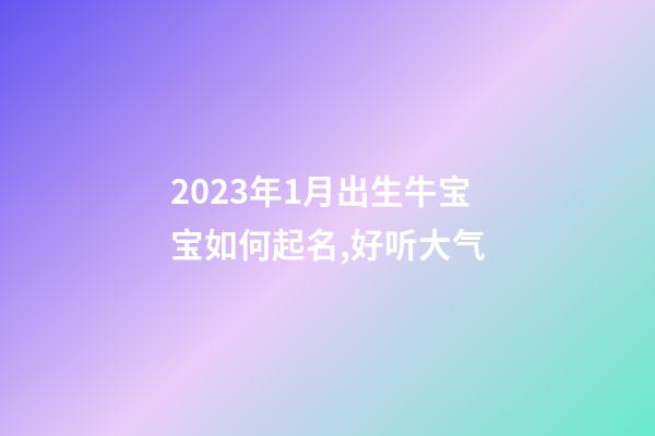 2023年1月出生牛宝宝如何起名,好听大气