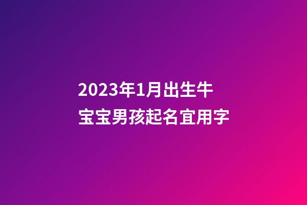 2023年1月出生牛宝宝男孩起名宜用字