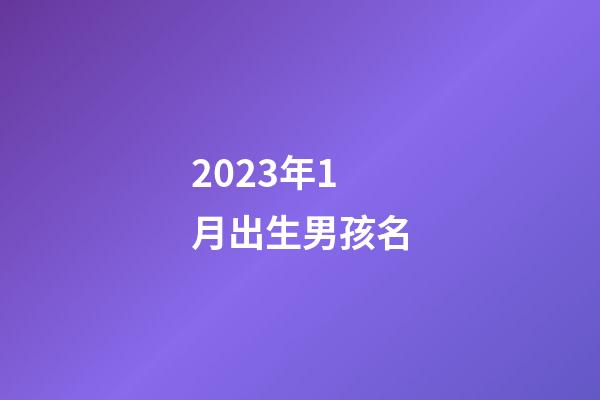 2023年1月出生男孩名