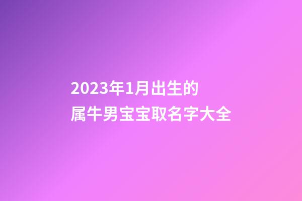 2023年1月出生的属牛男宝宝取名字大全
