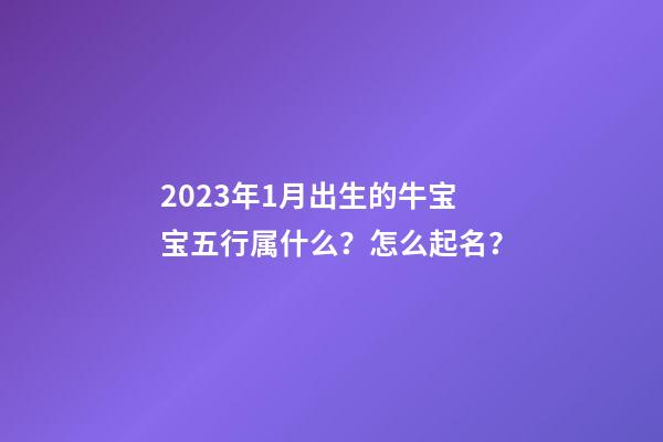 2023年1月出生的牛宝宝五行属什么？怎么起名？