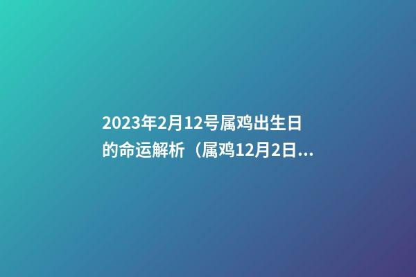 2023年2月12号属鸡出生日的命运解析（属鸡12月2日运势）