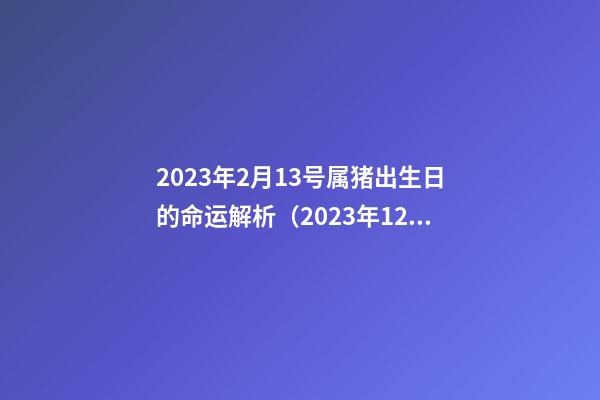 2023年2月13号属猪出生日的命运解析（2023年12月23日出生的人）
