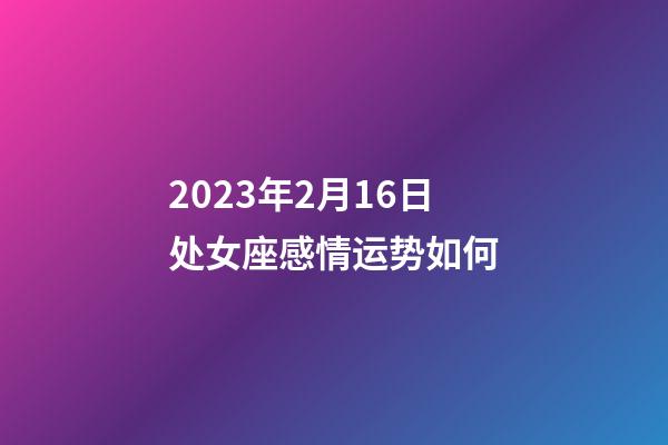2023年2月16日处女座感情运势如何-第1张-星座运势-玄机派