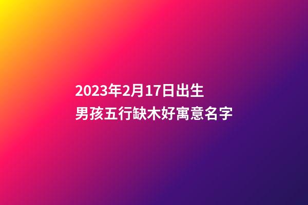 2023年2月17日出生男孩五行缺木好寓意名字