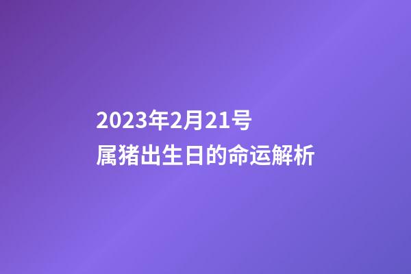 2023年2月21号属猪出生日的命运解析