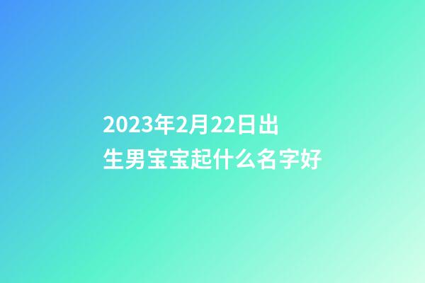 2023年2月22日出生男宝宝起什么名字好