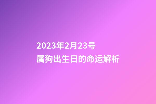 2023年2月23号属狗出生日的命运解析