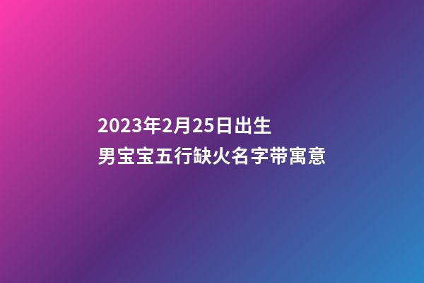 2023年2月25日出生男宝宝五行缺火名字带寓意