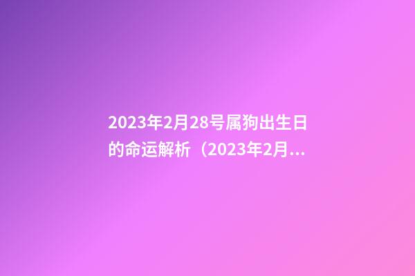 2023年2月28号属狗出生日的命运解析（2023年2月28日出生属什么）