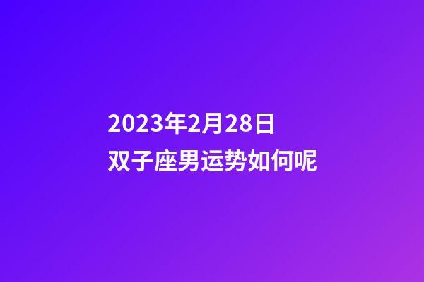 2023年2月28日双子座男运势如何呢-第1张-星座运势-玄机派
