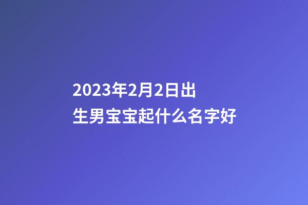 2023年2月2日出生男宝宝起什么名字好