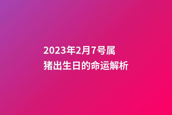 2023年2月7号属猪出生日的命运解析
