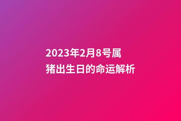 2023年2月8号属猪出生日的命运解析