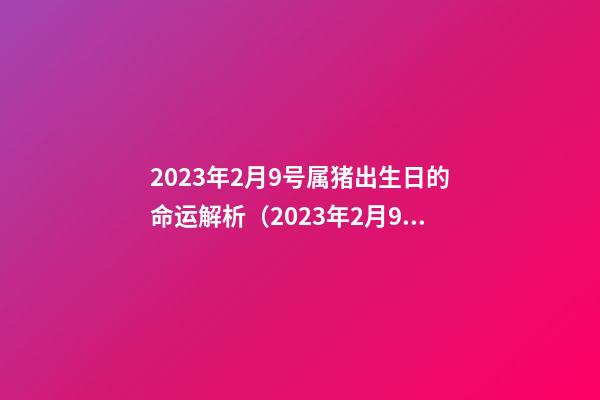 2023年2月9号属猪出生日的命运解析（2023年2月9号属猪出生日的命运解析图）