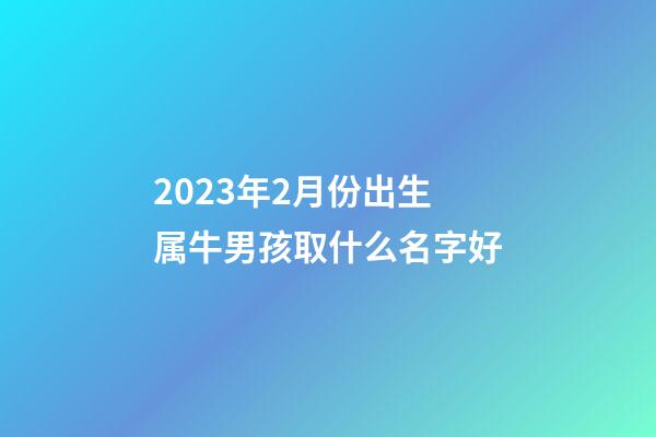2023年2月份出生属牛男孩取什么名字好